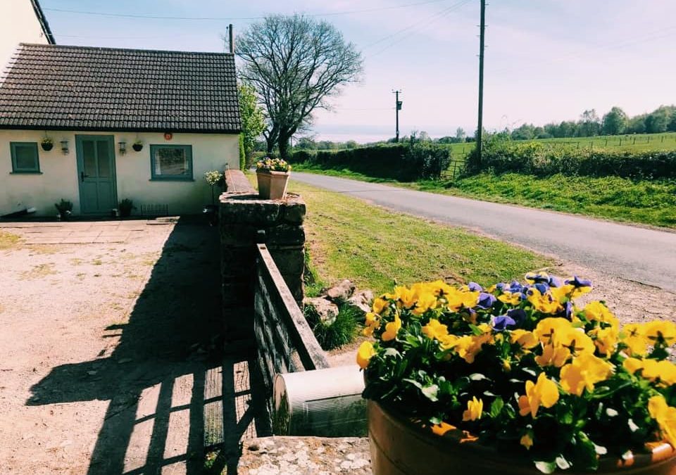 Late May Bank Holiday